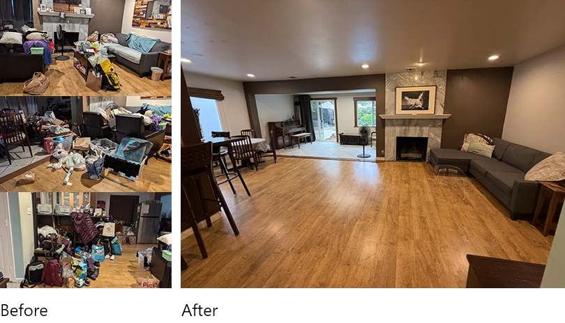Living Room Organization